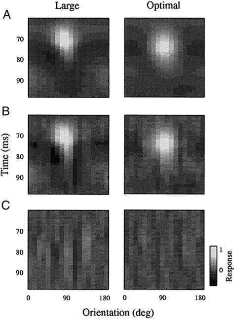 A And B Shows Orientation Tuning Dynamics For Two Cells At The Two