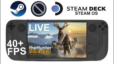 Thehunter Call Of The Wild On Steam Deck Os In P Fps Live