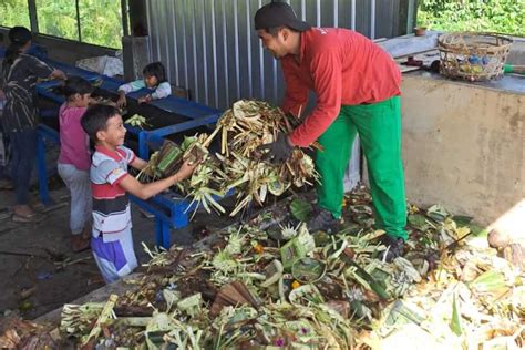 Sampah Sisa Sarana Upakara Pemedek Diolah Jadi Pupuk Organik