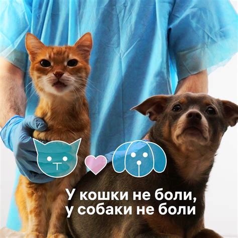 Инвитро 2024 | ВКонтакте