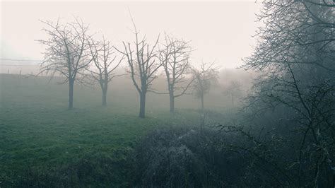 INTO THE FOG on Behance