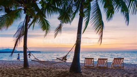 Hammock And Beach Chairs On The Beach With Palm Trees During Sunset At