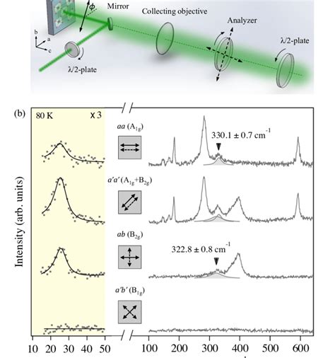 A Schematic Of The Rotation Anisotropic Polarized Raman Spectroscopy