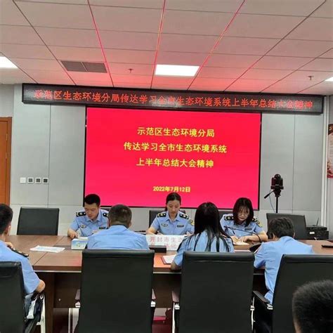 示范区分局贯彻学习全市生态环境系统上半年总结大会精神工作治污党建和