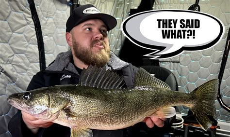 The Truth About Mille Lacs Walleyes Target Walleye