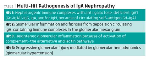 Update On Iga Nephropathy Treatment Several Newer Therapies On The