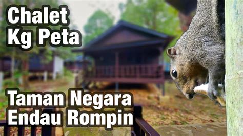 Chalet Tour Accommodation In Kampung Peta Endau Rompin National Park