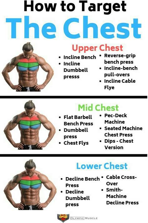 Muscle Fitness Best Chest Workout Chest Workout Routine Gym Workout