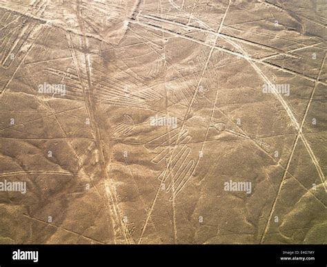 Condor Lines And Geoglyphs Of Nazca UNESCO World Heritage Site Peru