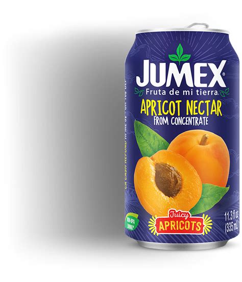 Jugo Nectar Jumex Mango Lata Botella Ml Ibarra Mayoreo Lupon Gov Ph