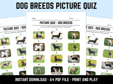 Printable Dog Breeds Picture Quiz With Answers Etsy