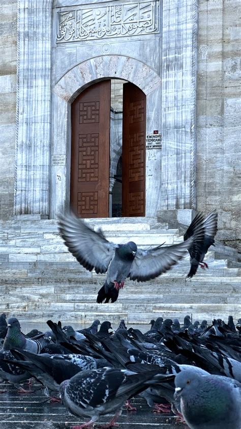 hattatberk on Twitter İstanbul Üniversitesi İlâhiyat Fakültesi