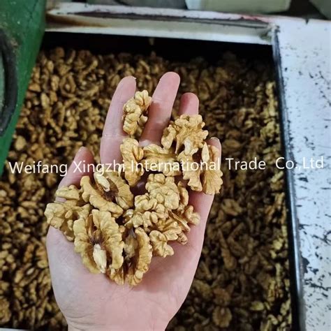 Xinjiang Walnut Kernels Paper Shell Walnut Halves China Sups