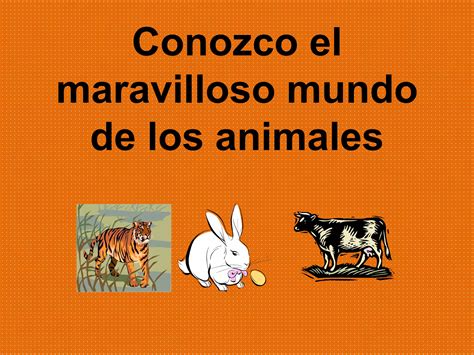 Conozco El Maravilloso Mundo De Los Animales Ppt