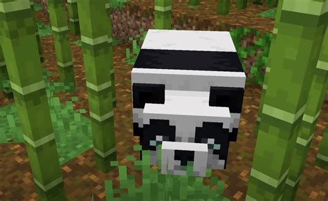 How To Tame A Panda In Minecraft A Comprehensive Guide