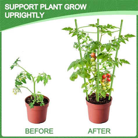 Snapklik Kls Pack Tomato Cage For Pots Tomato Plant Support