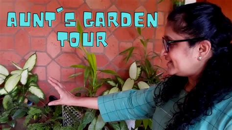 My Aunts Garden Tour At Wayanad Part 3 Youtube