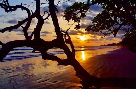 Video Discover Cameroon In 3 Minutes Cameroon Beach Nice View