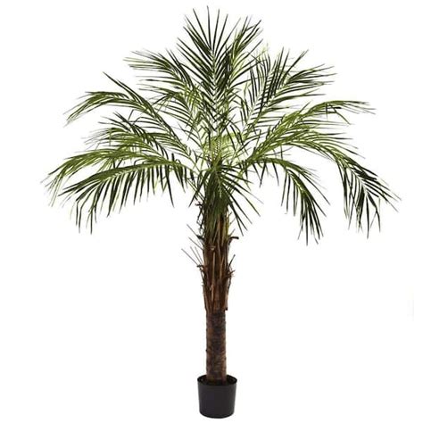 Nearly Natural 6 Ft Artificial Robellini Palm Tree 5366 The Home Depot