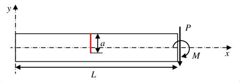 geometry   beam element   applied external forces