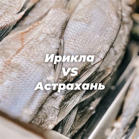 Вечная борьба: лещ ИРИКЛА или АСТРАХАНЬ? 樂 Отличие в размерах и ...