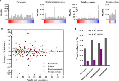 Evolution Of Tumor Mutation Burden A Column Charts Depict Baseline Tmb