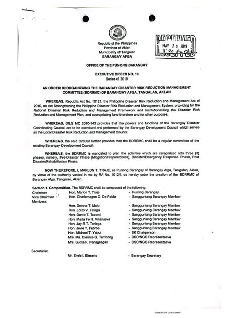 13 Reorganizing The Bdrrmc Pdf