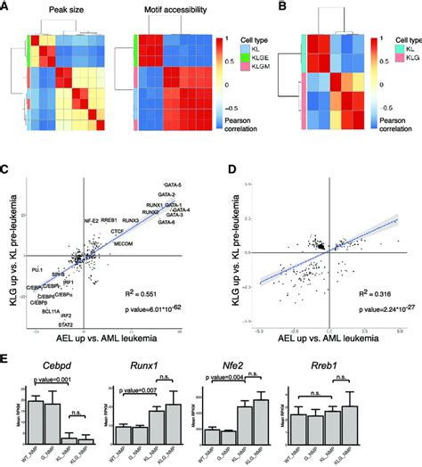 Mutation Of Gata 2 Znf1 Induces An Erythroid Permissive Chromatin State