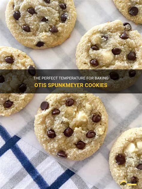 The Perfect Temperature For Baking Otis Spunkmeyer Cookies Shungrill