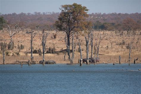 Hwange National Park - All You Need to Know BEFORE You Go (2025)