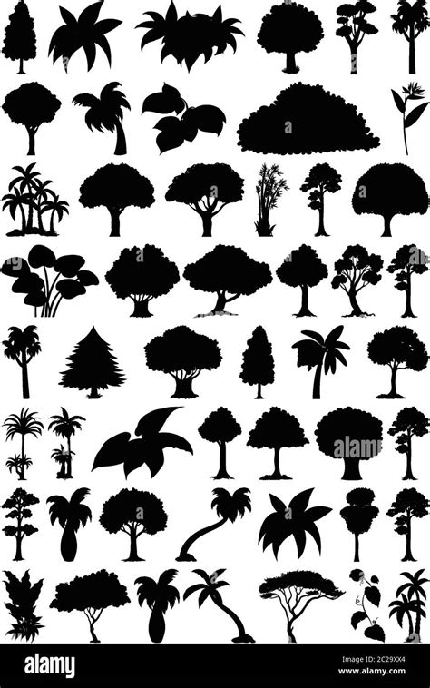 Set Of Plant And Tree Silhouette Illustration Stock Vector Image Art