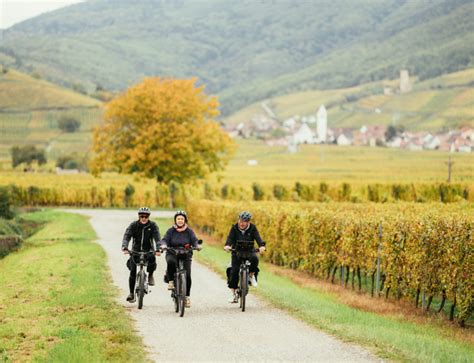 Your Journey Begins Here In Alsace Cycling In Alsace