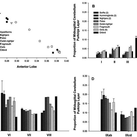 The Graphs Shown Here Indicate The Relative Size Of The Purkinje Cell Download Scientific