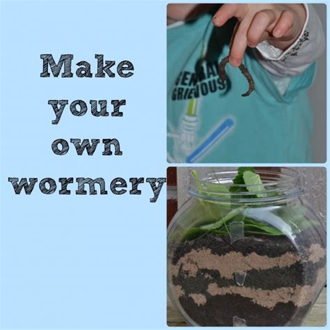 Make your own Wormery