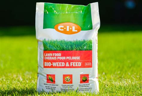 13 Amazing Weed Feed Lawn Fertilizer For 2024 Storables