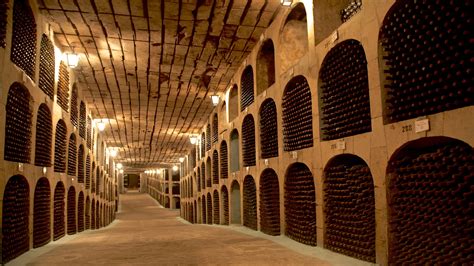 The Meaning And Symbolism Of The Word Cellar