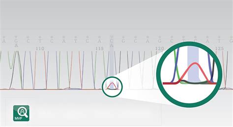 Sanger Sequencing Capillary Electrophoresis Thermo Fisher Scientific