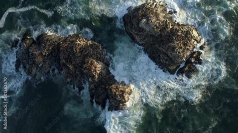 Bird S Eye View Over Cobquecura Piedra De La Loberia Foamy Waves