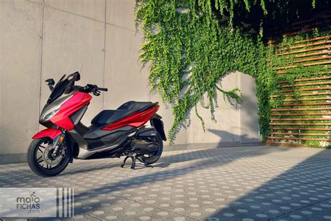 Comparativa Honda Forza Yamaha Xmax