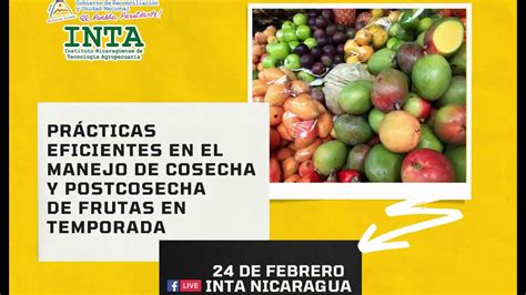 Pr Cticas Eficientes En El Manejo De Cosecha Y Postcosecha De Frutas En