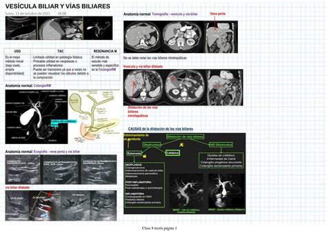 Ves Cula Biliar Y V As Biliares Ninoska Yajhaira Sanchez Requis Udocz