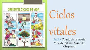 CICLO VITAL DE LOS SERES VIVOS Quizizz