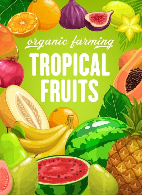 Cartaz De Desenho Animado De Agricultura Vetorial De Frutas Tropicais