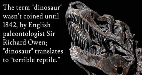 Dinosaur Facts And Images That Will Blow Your Mind