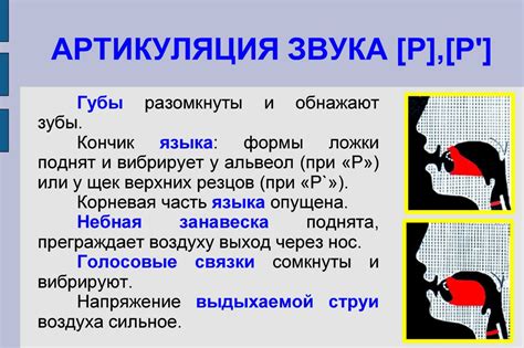 Схема артикуляции звука р