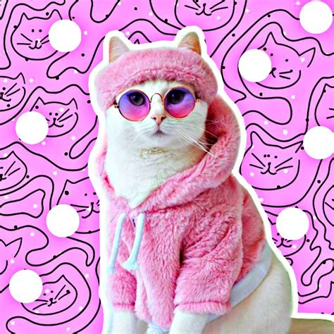 Pink Tumblr Aesthetic Cat Tumblr Is A Place To Express Yourself