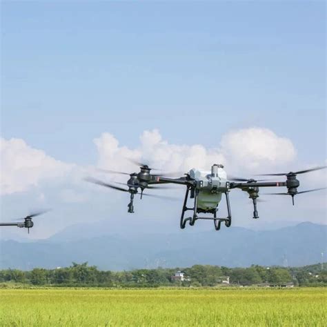 Global Version Dji Agras T Sprayer Agricultural Drone Spraying