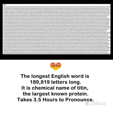 The longest Word