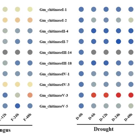 Genome Wide Identification And Distribution Of Chitinase Genes In Soybean Download Scientific