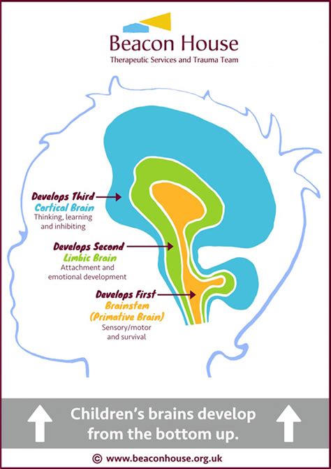 The Repair of Early Trauma: A “Bottom Up” Approach | Chosen Care